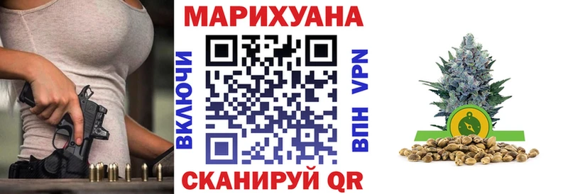 Где продают наркотики Александровск-Сахалинский Гашиш Канабис COCAIN ЭКСТАЗИ МЕФ